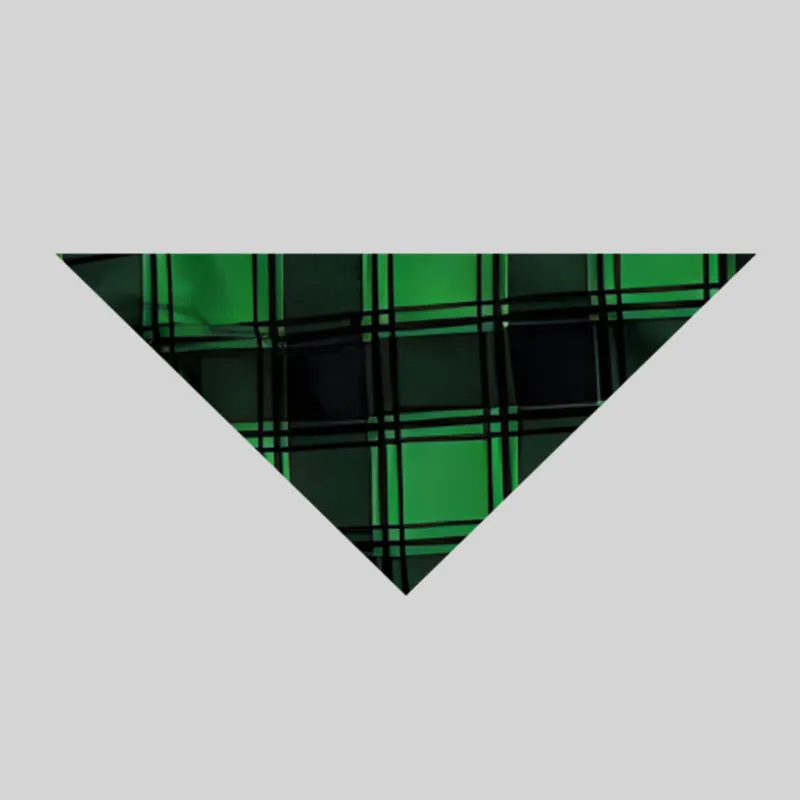 "Family Christmas 2024 Making Memories Together" Printed Green and Black Plaid Christmas Family Pajamas