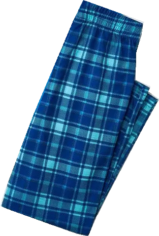 "Family Christmas 2024" Text and Deer Prints Blue Long Sleeve Top With Blue Plaid Family Matching Pajamas