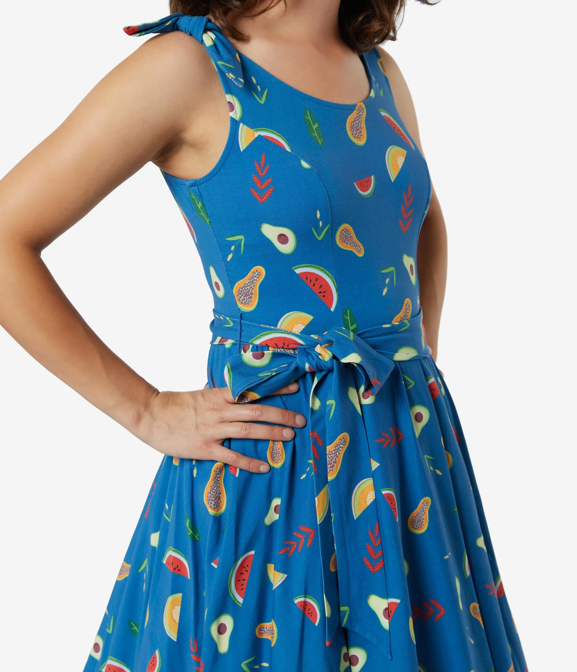 Retro Style Blue Fruit Print Bri Swing Dress